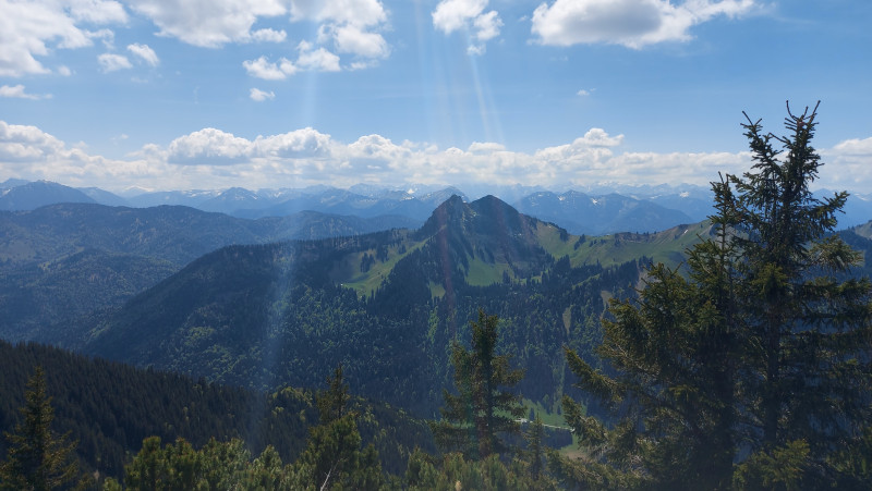 Colorful autumn forest
